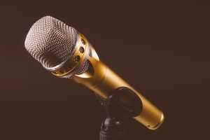 Eavesdropping proof  microphone